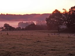 IMGP8879-Morgenstemning-ved-Brattingsborg